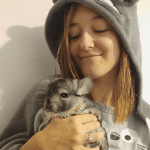 20 Chinchillas Who Are Almost Too Cute To Exist